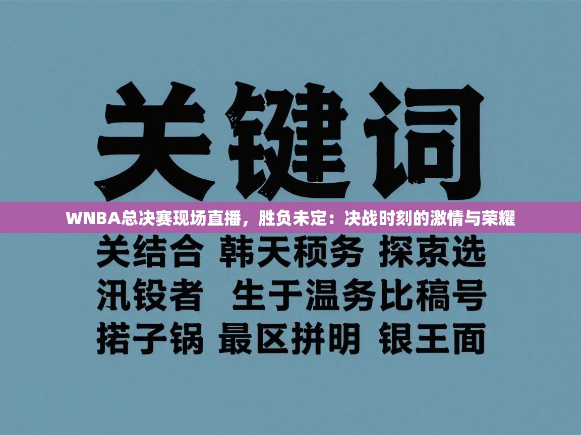 WNBA总决赛现场直播,胜负未定:决战时刻的激情与荣耀 第1张