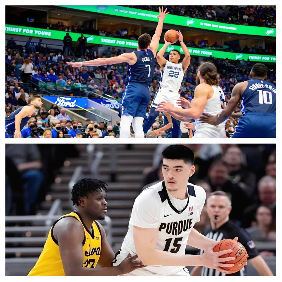 灰熊签下自由球员，增强内线阵容